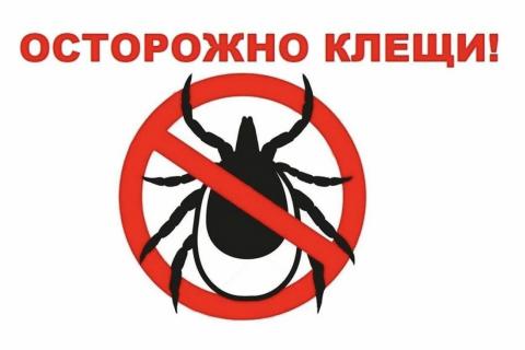 Роспотребнадзор напоминает о предстоящем сезоне активности клещей